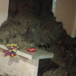 Desbordamiento de ríos y quebradas generan emergencia en Santo Domingo