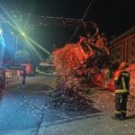 Toque de queda: lo que debes saber sobre la restricción que regirá en cuatro provincias desde este 15 de marzo