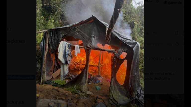 Militares desmantelan 51 campamentos de minería ilegal en la Amazonía en menos de 48 horas
