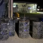 Noboa ratifica funciones de la vicepresidenta Pinto en comité contra la desnutrición infantil