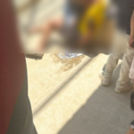 España aprueba regularización para medio millón de migrantes desde el 16 de abril