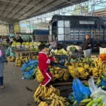 Gobierno firma contrato para explotar mina de oro “Cangrejos” con inversión de más de USD 1.700 millones