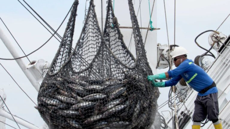 Gobierno crea subsidio temporal para sector pesquero industrial por alza del diésel