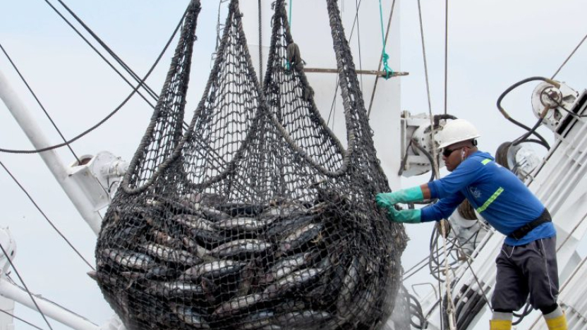 Gobierno crea subsidio temporal para sector pesquero industrial por alza del diésel