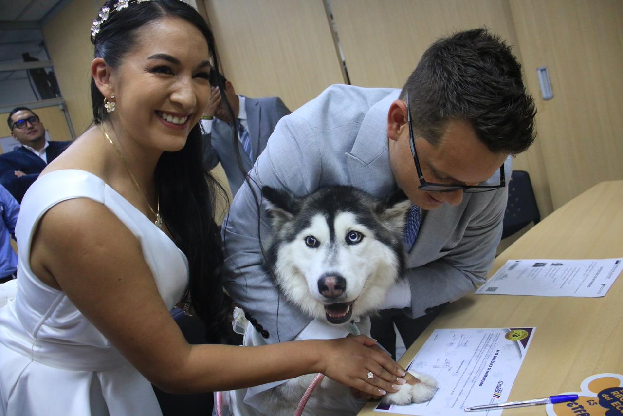 Ellos también dicen “sí”: mascotas pueden ser testigos simbólicos de bodas en Ecuador