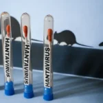 CAN ordena a Ecuador y Colombia eliminar aranceles recíprocos en 10 días