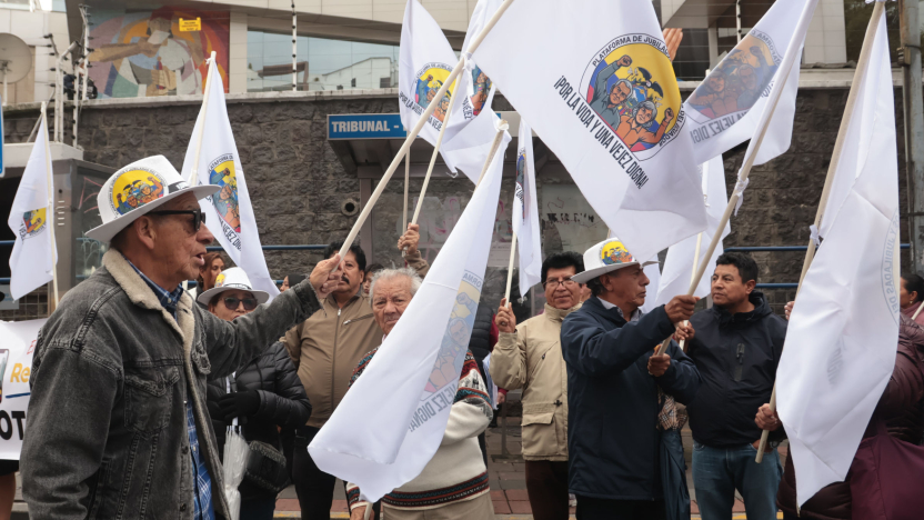 Colectivos presentan revocatoria contra Noboa y Pinto