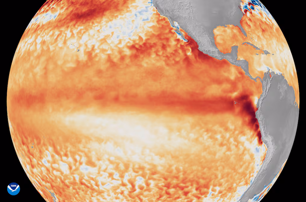 NOAA confirma formación de fenómeno El Niño
