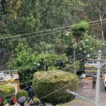 Trasladan a Daniel Salcedo a Cárcel del Encuentro