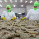 AMT actualiza sistema para generar órdenes de pago
