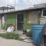 Militares destruyen más de 100.000 plantas de coca en Sucumbíos