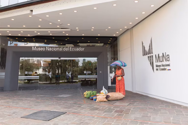 Seis estudios confirmados en nueva selección de Museo Nacional