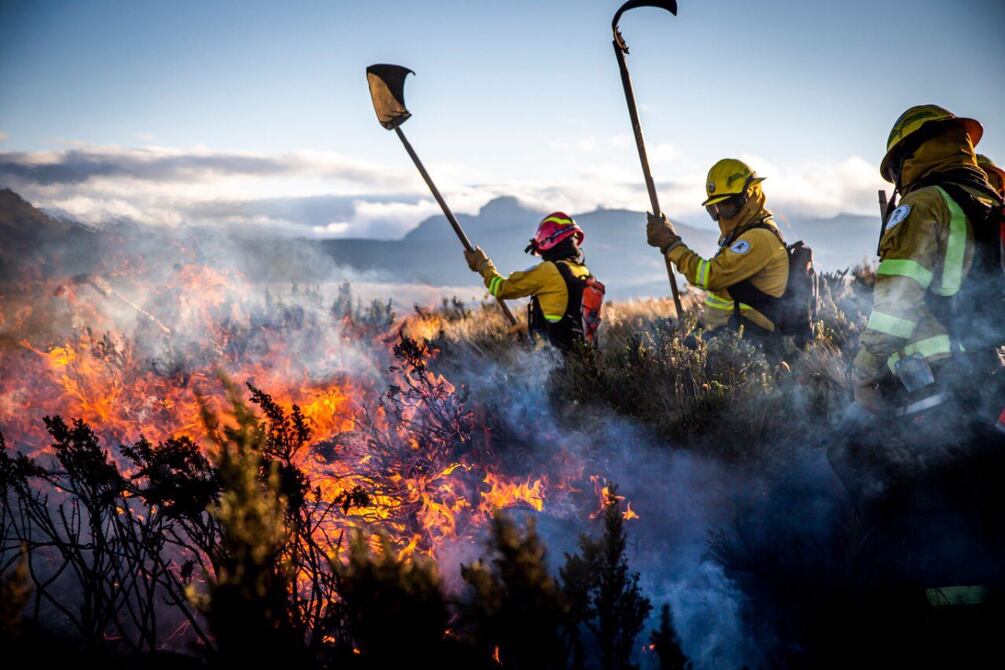El Niño eleva el riesgo de incendios en la Sierra