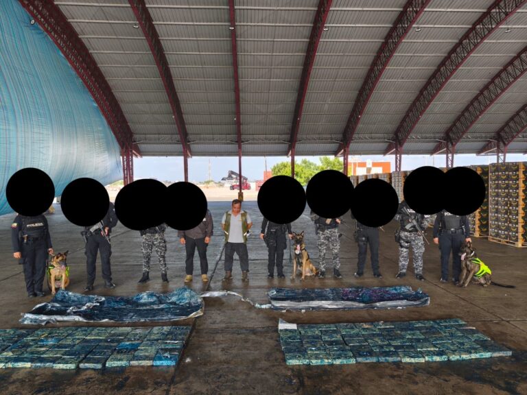 Incautan cocaína en contenedor con destino a Alemania