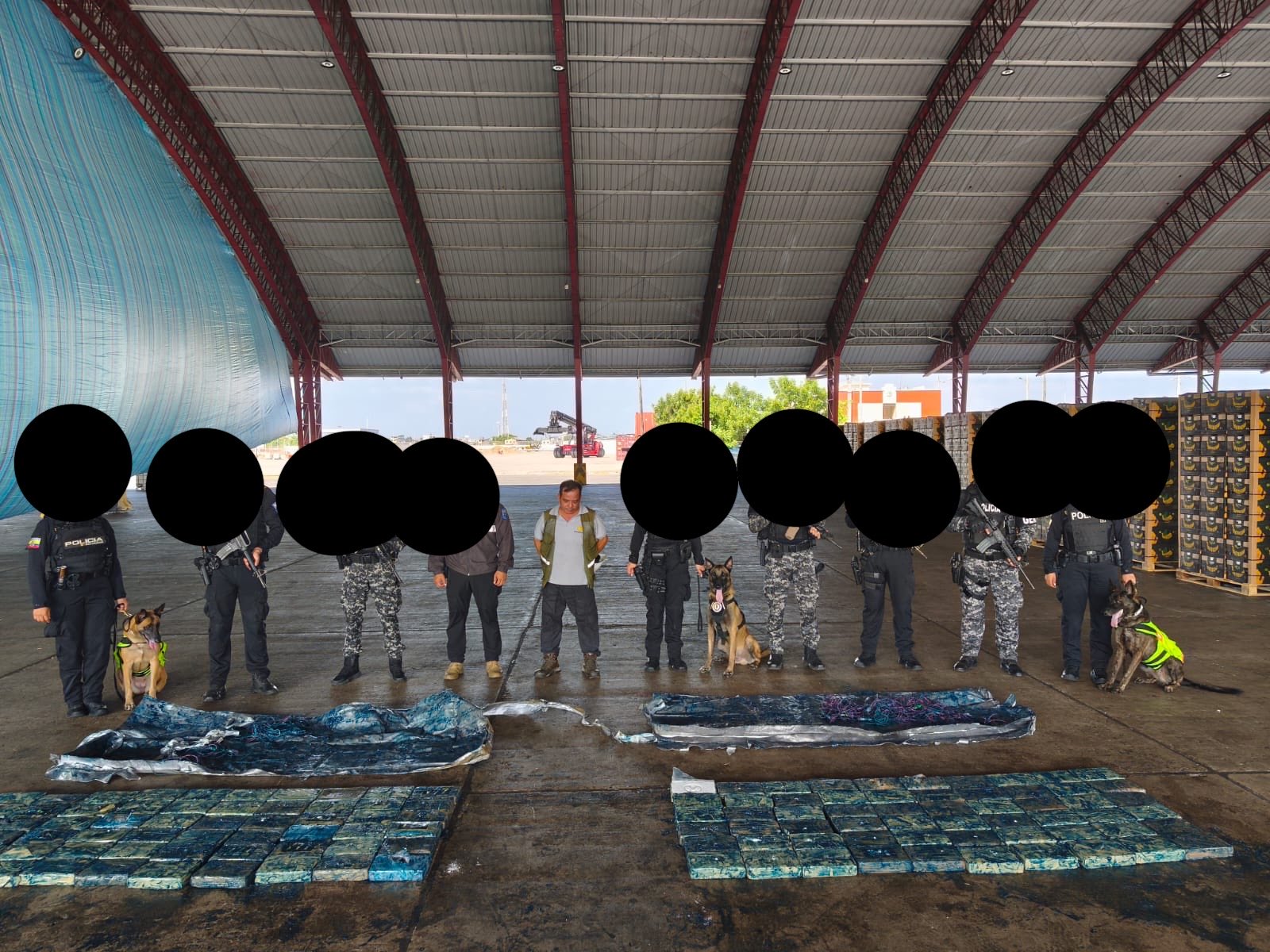 Incautan cocaína en contenedor con destino a Alemania