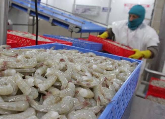 Ecuador pide aclaraciones a China por camaroneras suspendidas