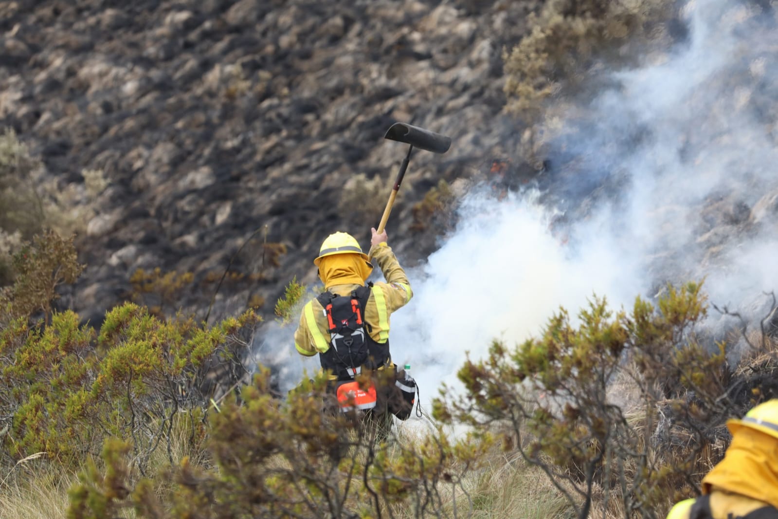Incendio forestal afecta Reserva Cotacachi-Cayapas