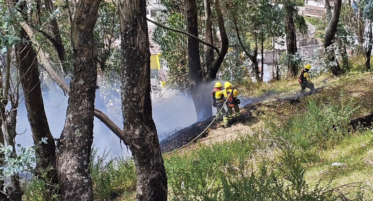 Multas de hasta USD 36.150 por provocar incendios forestales en Quito