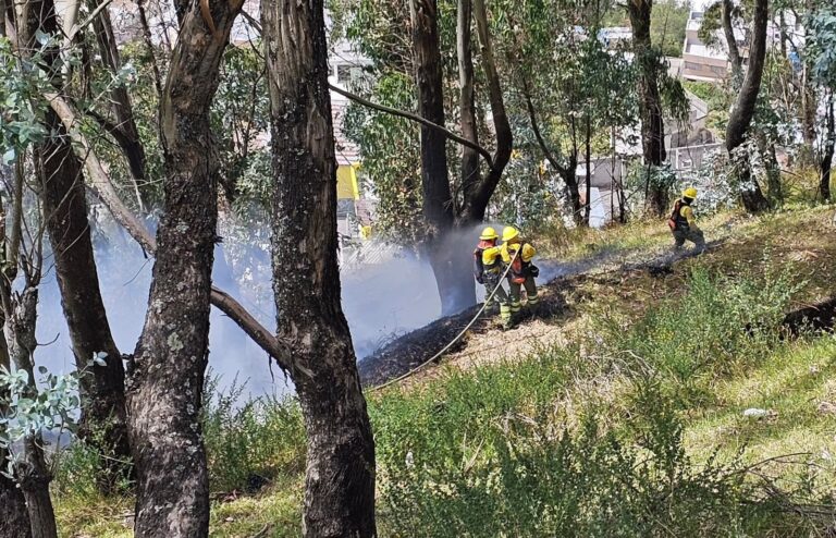Multas de hasta USD 36.150 por provocar incendios forestales en Quito