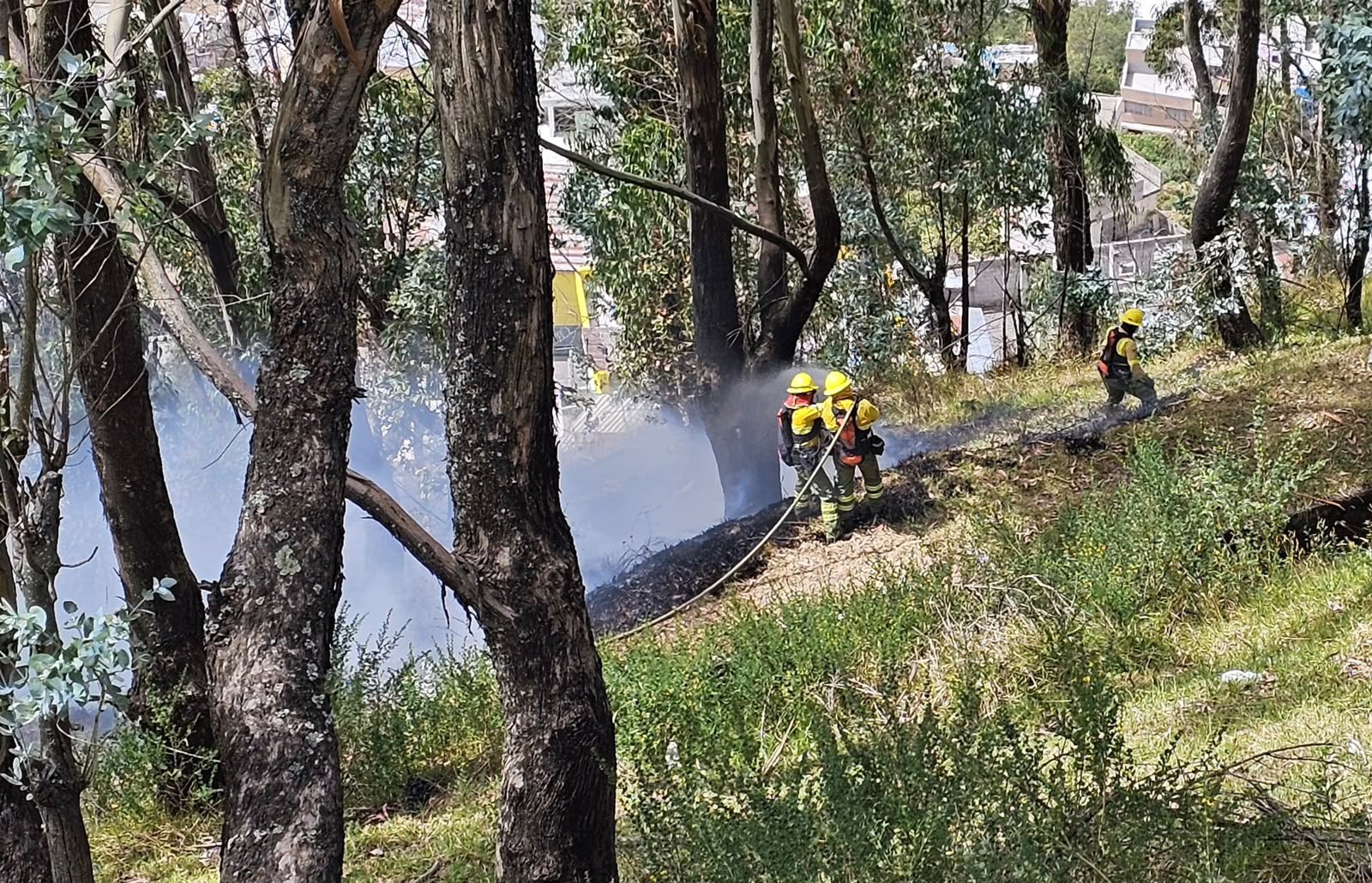 Multas de hasta USD 36.150 por provocar incendios forestales en Quito