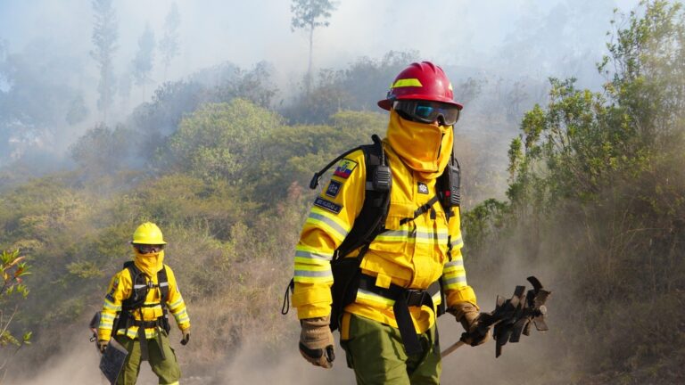 Quito: continúan labores para controlar incendio forestal en El Quinche