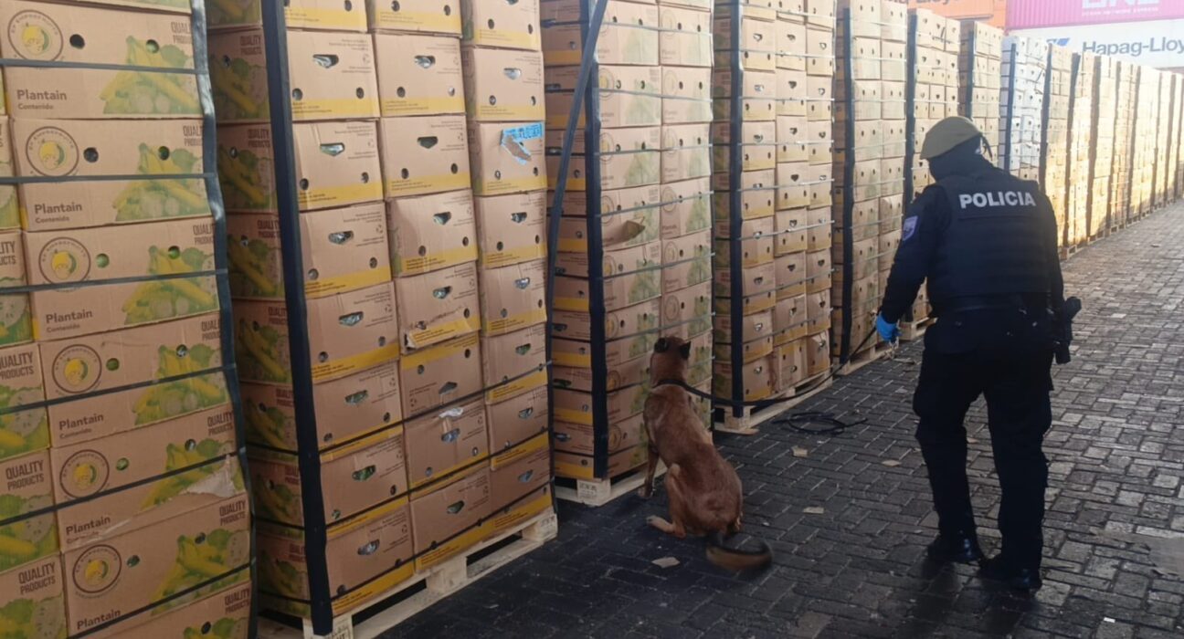 Decomisan 1,2 toneladas de cocaína en puerto de Guayaquil