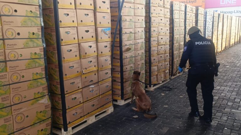 Decomisan 1,2 toneladas de cocaína en puerto de Guayaquil