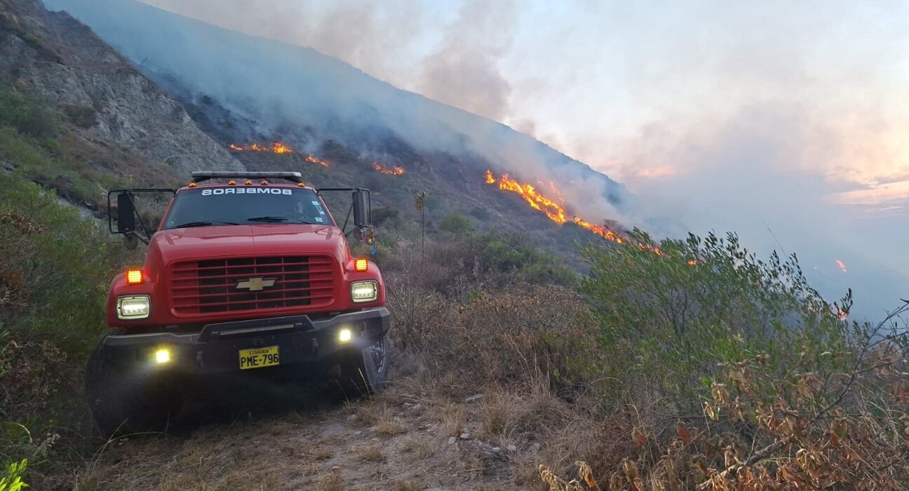 Diez provincias enfrentan riesgo de incendios forestales