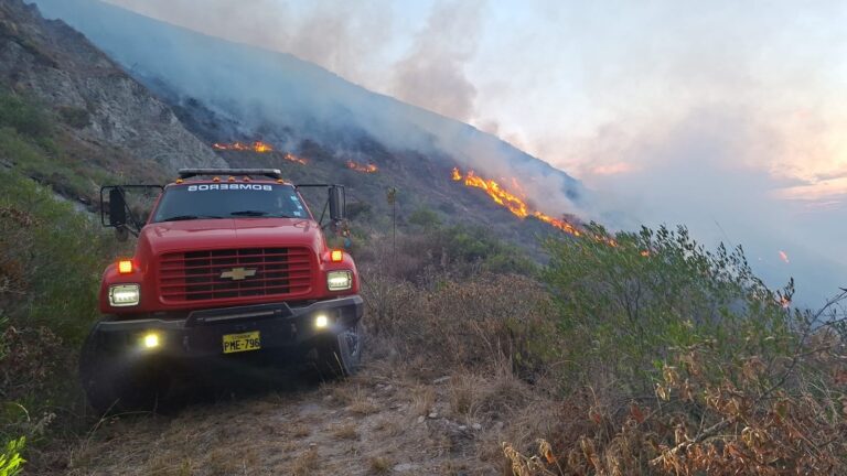 Diez provincias enfrentan riesgo de incendios forestales