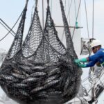 Célula de Los Lagartos habría extendido operaciones a Chile