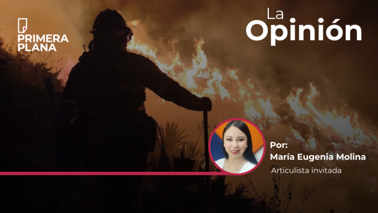Los incendios forestales en Quito, una realidad que nos afecta cada año | Opinión