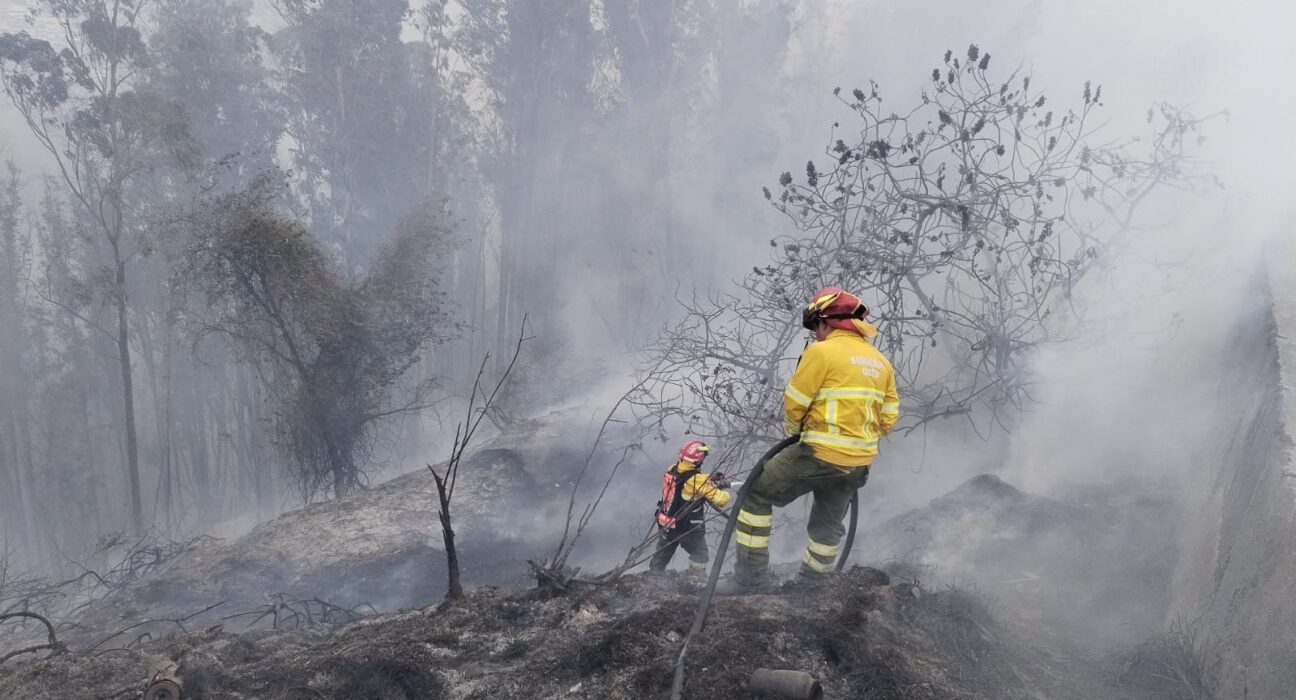 Nueve incendios forestales permanecen activos en cinco provincias