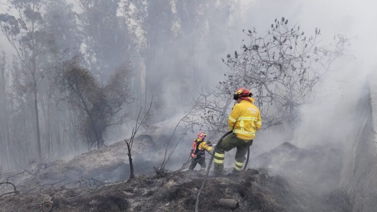 Nueve incendios forestales permanecen activos en cinco provincias