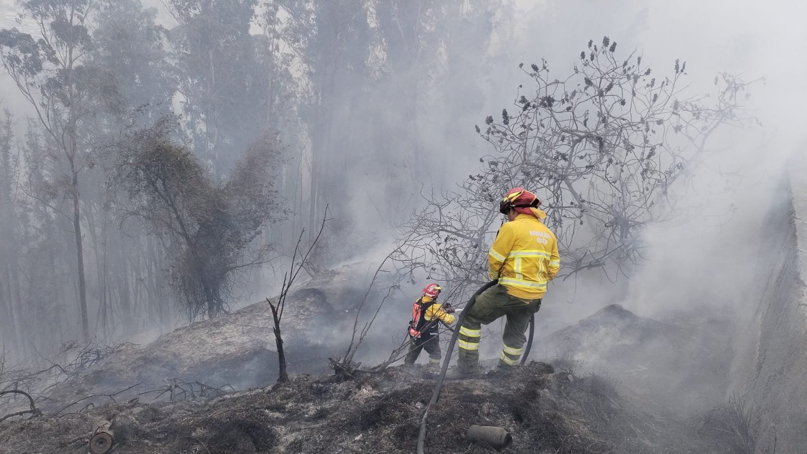 Nueve incendios forestales permanecen activos en cinco provincias