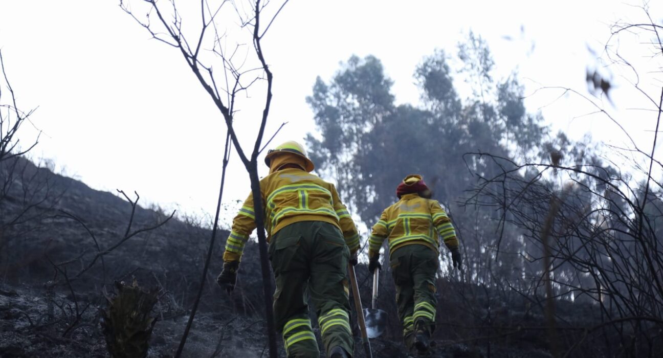 Quito: incendio en Casitagua sigue activo tras noche de combate contra las llamas