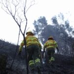 Juez es asesinado a tiros en La Troncal
