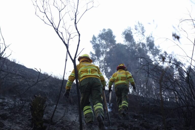 Quito: incendio en Casitagua sigue activo tras noche de combate contra las llamas