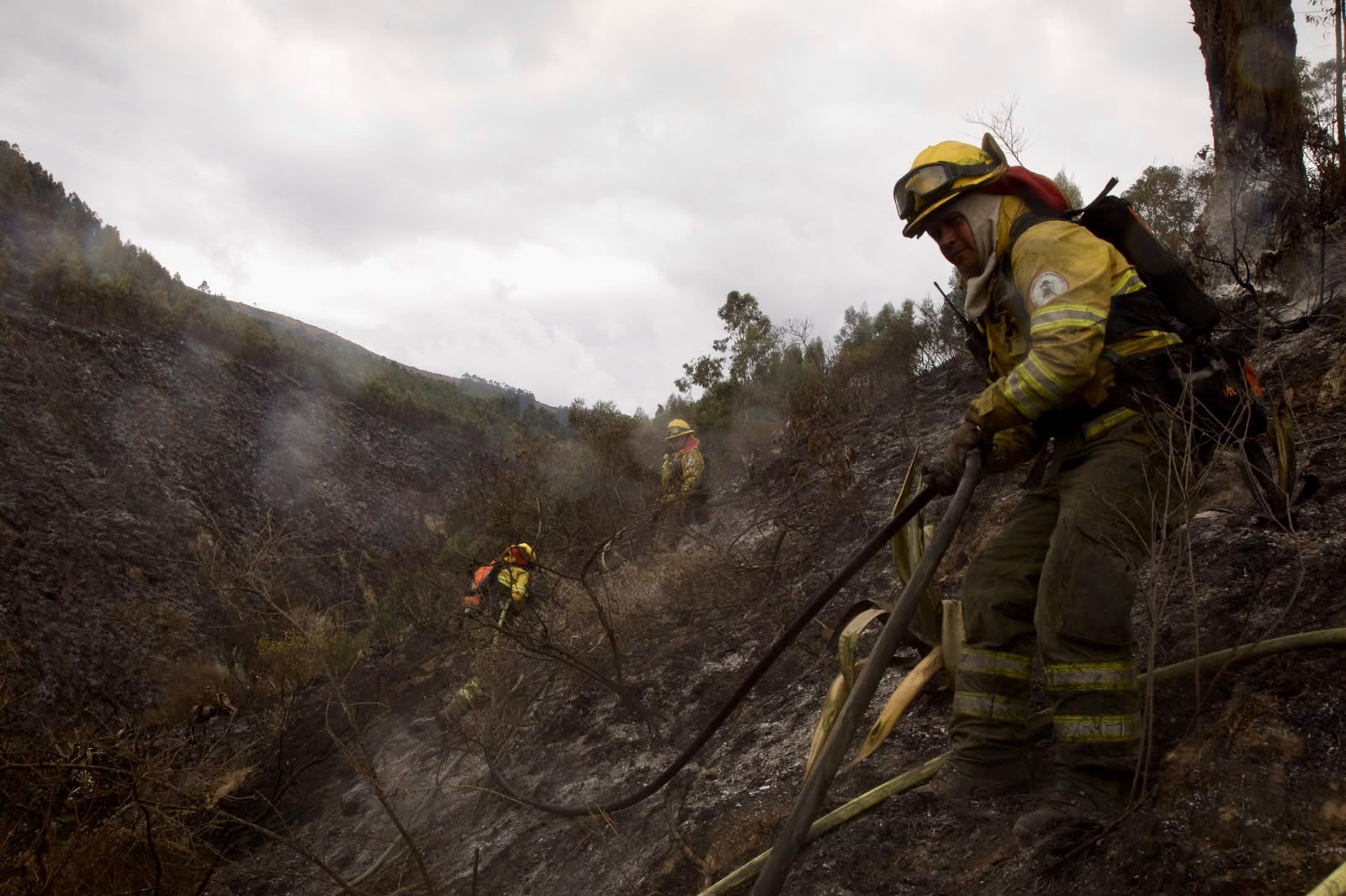 Incendio en Casitagua sigue activo y tres helicópteros combaten las llamas