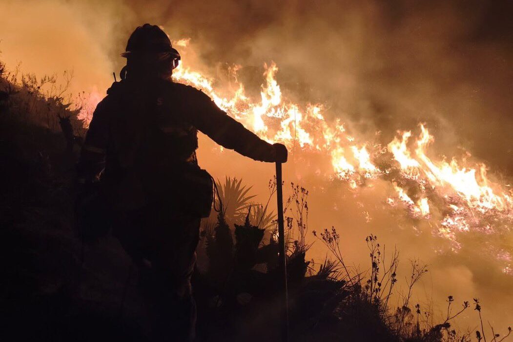 Siete incendios forestales se mantienen activos en el país