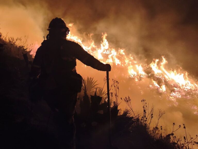 Siete incendios forestales se mantienen activos en el país