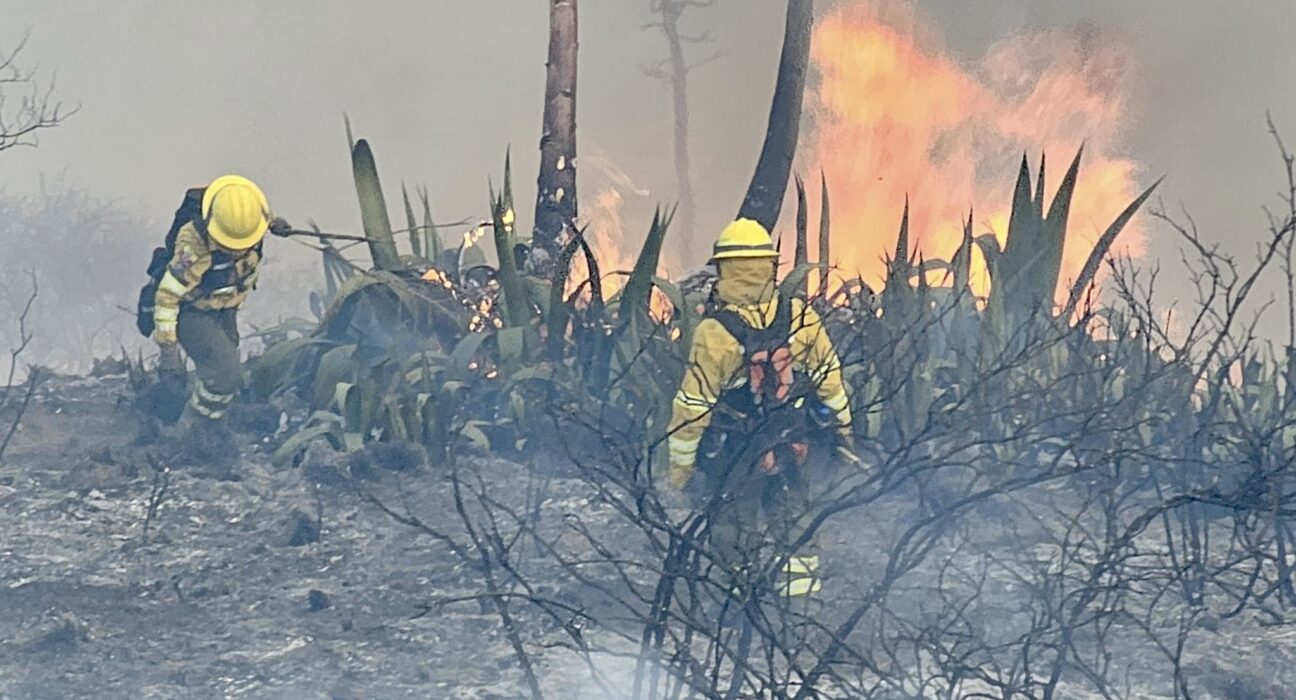 Incendio en Casitagua afecta 300 hectáreas tras cuatro días de emergencia