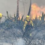 Ataques armados dejan tres muertos en Guayaquil