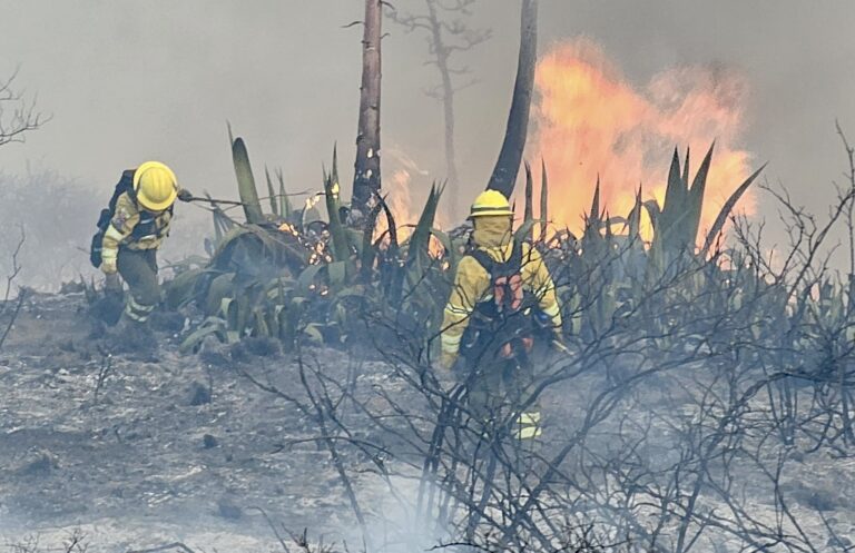 Incendio en Casitagua afecta 300 hectáreas tras cuatro días de emergencia