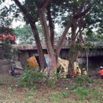 Ataque armado en Samborondón deja dos muertos y un herido