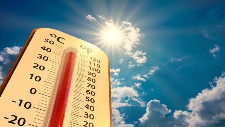 Agosto, el mes más caluroso registrado en el planeta