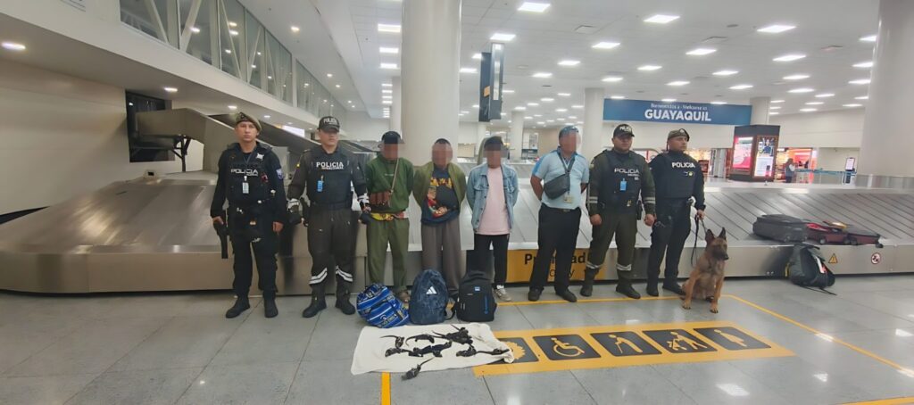 Condenan a cuatro años de prisión a extranjeros por tráfico de iguanas marinas