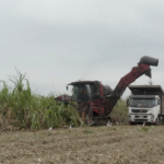 El Niño se fortalece en Ecuador y aumenta riesgo de crecidas e inundaciones, alerta Erfen