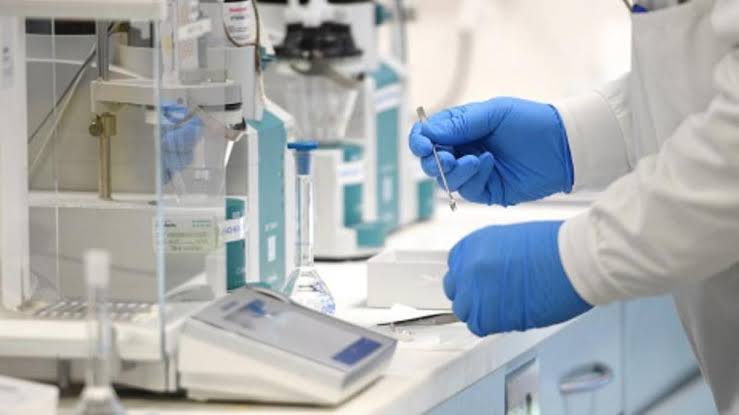 Rusia pide calma ante posible brote de peste pulmonar en Siberia