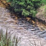 Choque múltiple en Guayllabamba deja al menos siete heridos  