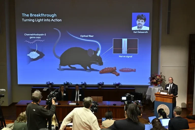 ¿Se puede controlar el cerebro con luz? El descubrimiento que ganó el Nobel de Medicina 2026